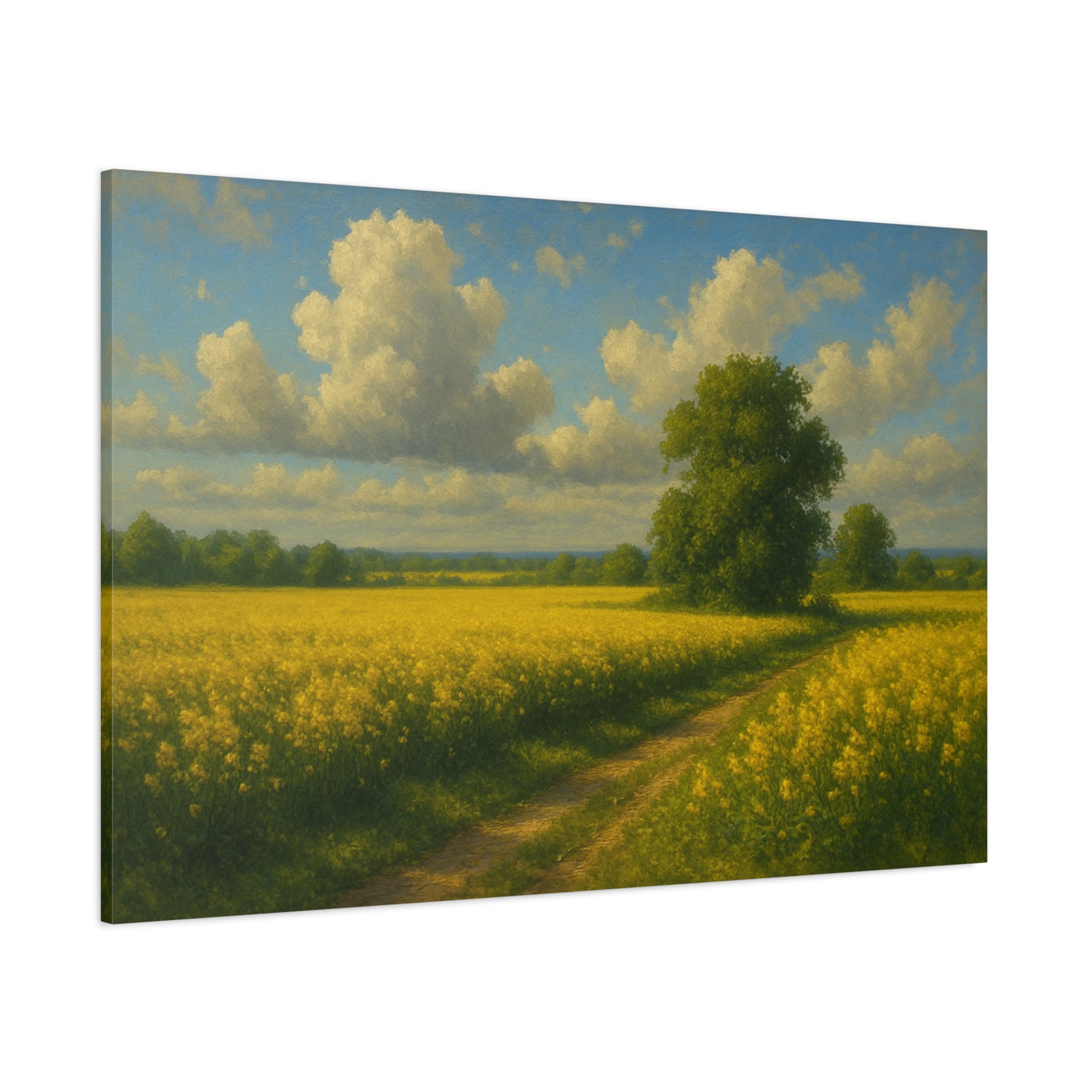 Fields of Quiet Gold